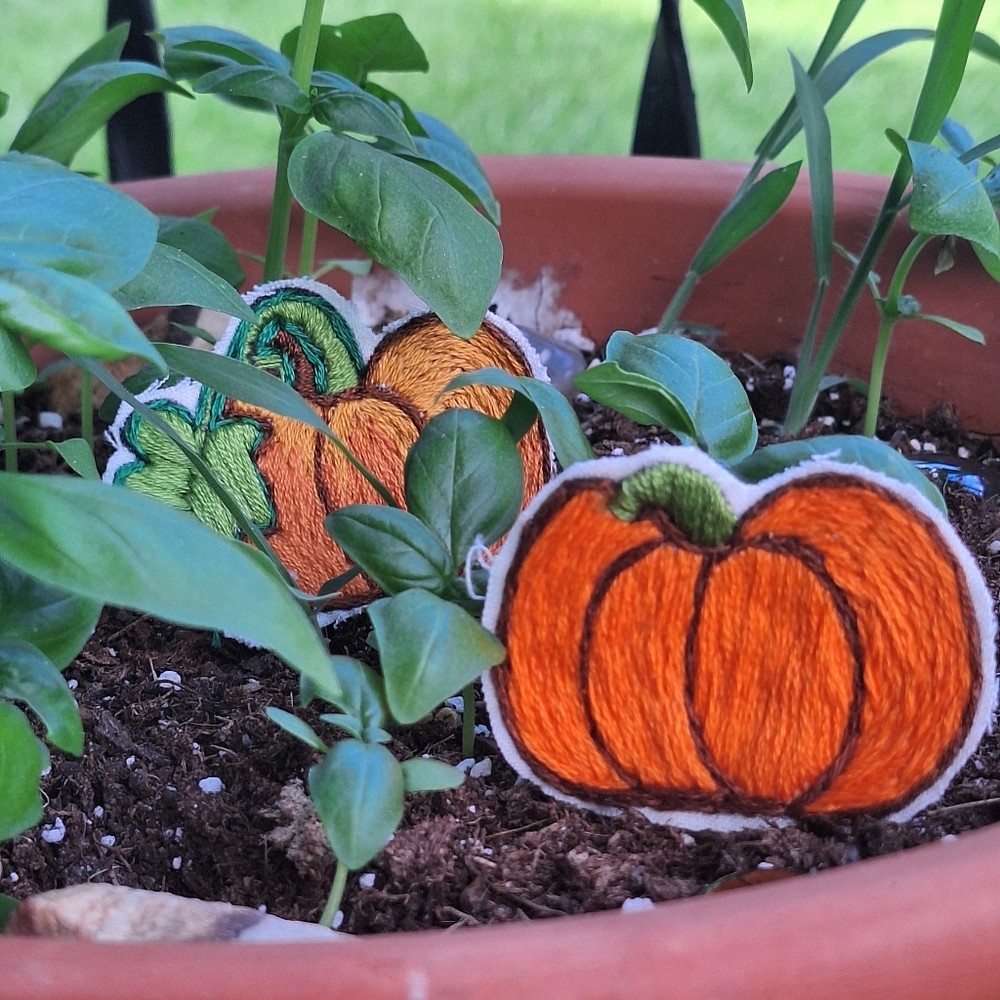 Pumpkin Patches